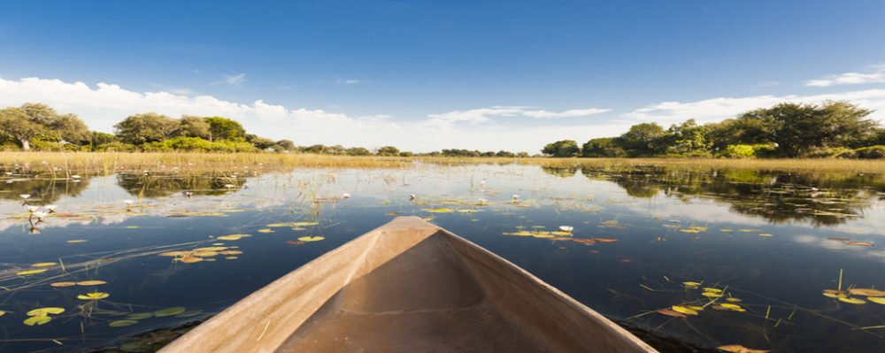 TrazeeTravel's tweet photo. More #travelers than ever and interested in #ecofriendly, #greentravel. #genwhynot https://t.co/JjPao2j6ci https://t.co/IUrcAGOWZt