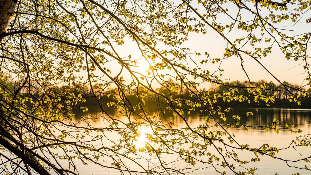 laudablepro's tweet photo. We put in a request months ago, and it has come through: it will be sunny and in the 60s this Sunday for the River Roll and Stroll Festival 2018! To learn more about the musical lineup, activities and food visit https://t.co/uULw7pM1ya #MeetintheMiddle #streetfestival https://t.co/5l7oXBSeX1