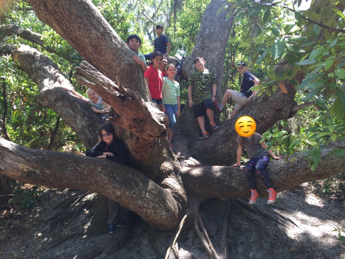 drumset6's tweet photo. Team Tree Frogs. #BES2018Jekyllisland https://t.co/4s86lFMZhA