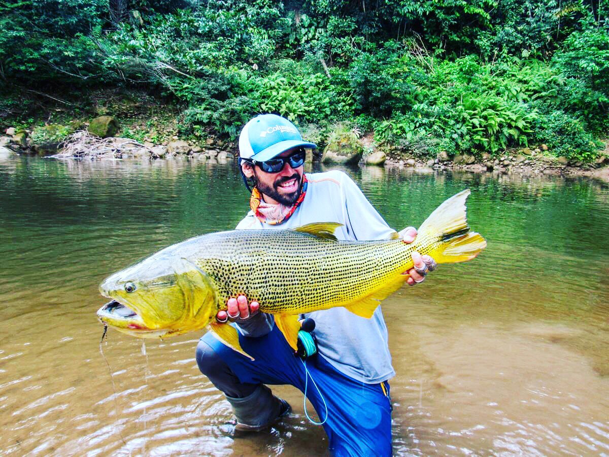 pointerfishing's tweet image. Hello There!

That's A Big Catch!

pointerflyfishing.com
pointeroutfitters.com

#PointerFlyFishing #AroundTheWorld #CatchAndRelease