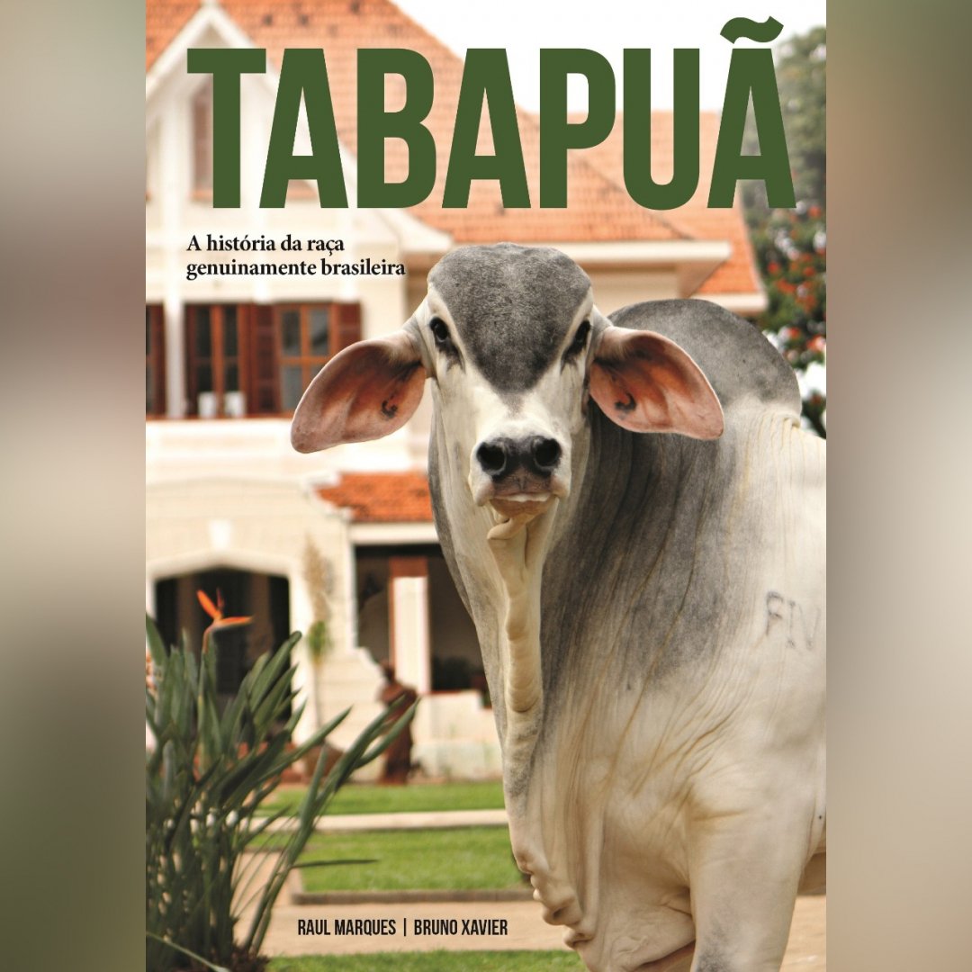 abcz_pmgz's tweet photo. Fazenda Água Milagrosa lança livro com história da raça Tabapuã durante 84ª edição da ExpoZebu.

O lançamento será no dia 1º de maio, às 18 horas, na sede da Associação Brasileira de Criadores de Tabapuã (ABCT), no Parque Fernando Costa. Participe!

#ABCZ #Zebu #Tabapua #FazendaA https://t.co/d5ioXFX8D8
