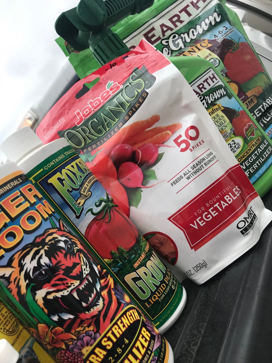 #Tomatomaniatip4today - So you bought it. Are you USING it? We ask tomato plants to do a lot in a short period of time. Help them along. 
  No matter what fertilizer you use, feed intelligently. In-ground  tomatoes need feeding...facebook.com/TomatomaniaHQ/