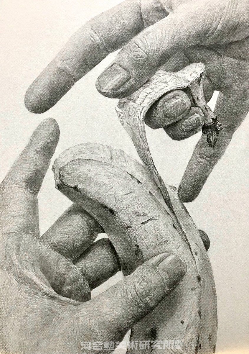 Dessinlabo 在 Twitter 上 今週は先崎です バナナと手の構成デッサンと 漫画から飛び出したピノ子です デッサンはb3で5時間 ピノコはb4です デッサンラボ T Co Ww4xvgv0zh Twitter