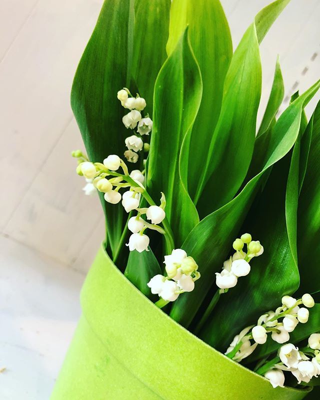 玉名市花屋 Twitter Search Twitter