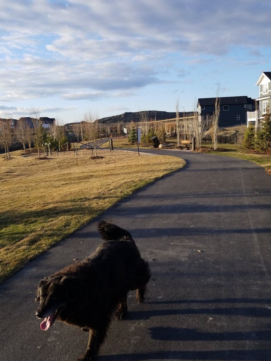 MalcomJayden's tweet photo. Out for a stroll @BVHSPE10 https://t.co/bOyvgh72nE