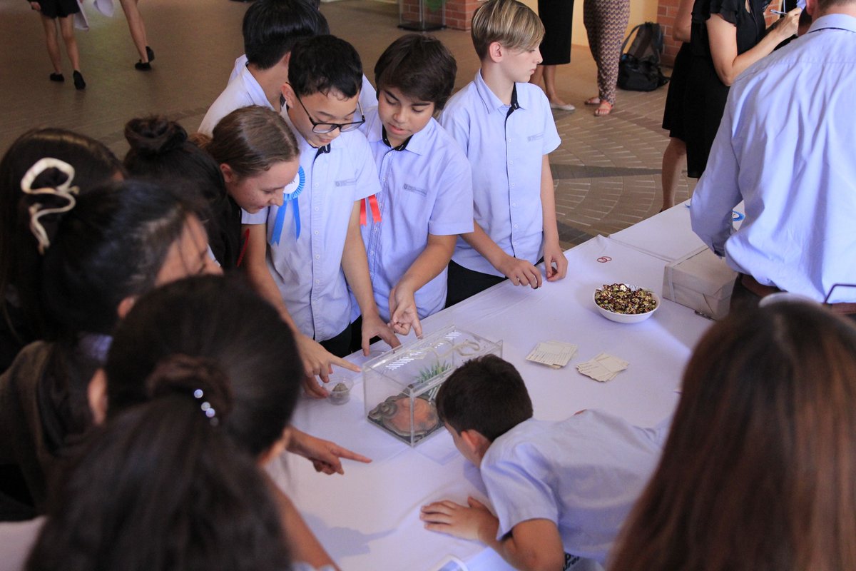 RegentsSchool's tweet image. Year 8.1 have been taking bids to act as PAs to teachers for a day to raise money for Elephant Nature Park. Here they are answering questions and demonstrating their skills. We even had a student bring his pet snakes in to showcase his snake handling skills! #GoRISPSecondary