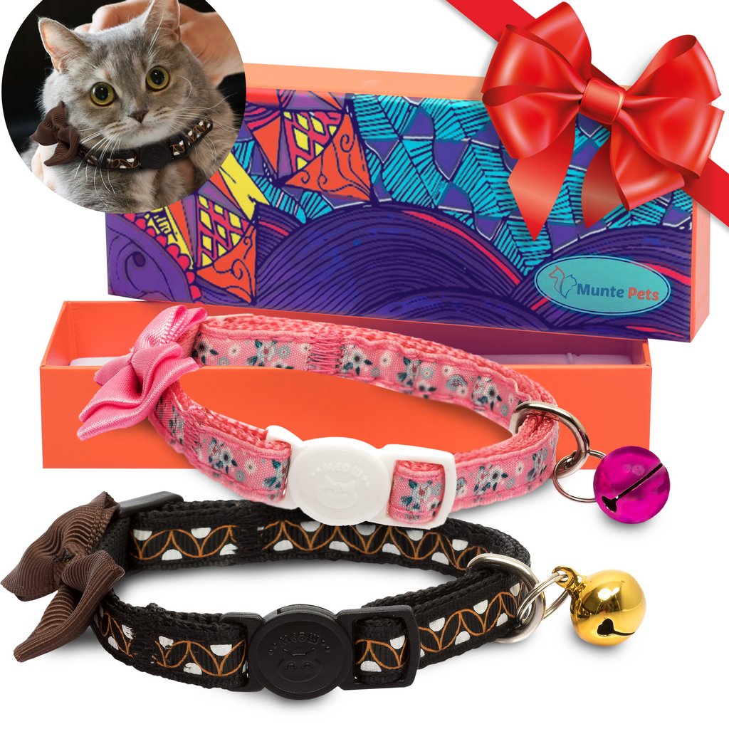 MuntePets's tweet image. End of Stock! We have only 7 of these beautiful cat collars gifts left and we will discontinue the products. Last chance to get yours! 
buff.ly/2vYMIwZ