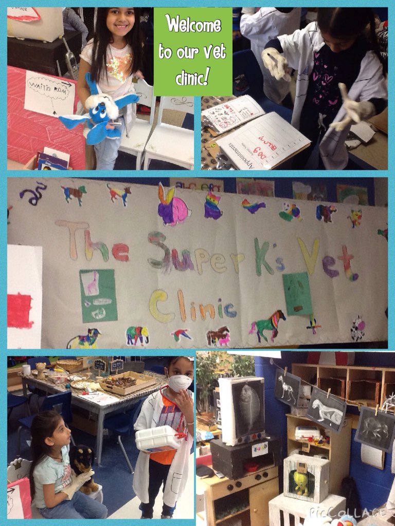 kinderroom111's tweet photo. The Super K's become Veterinarians! Our clinic is open for business #inquiry #kindergarten @ClairevillePeel https://t.co/jKzBYQk8gy