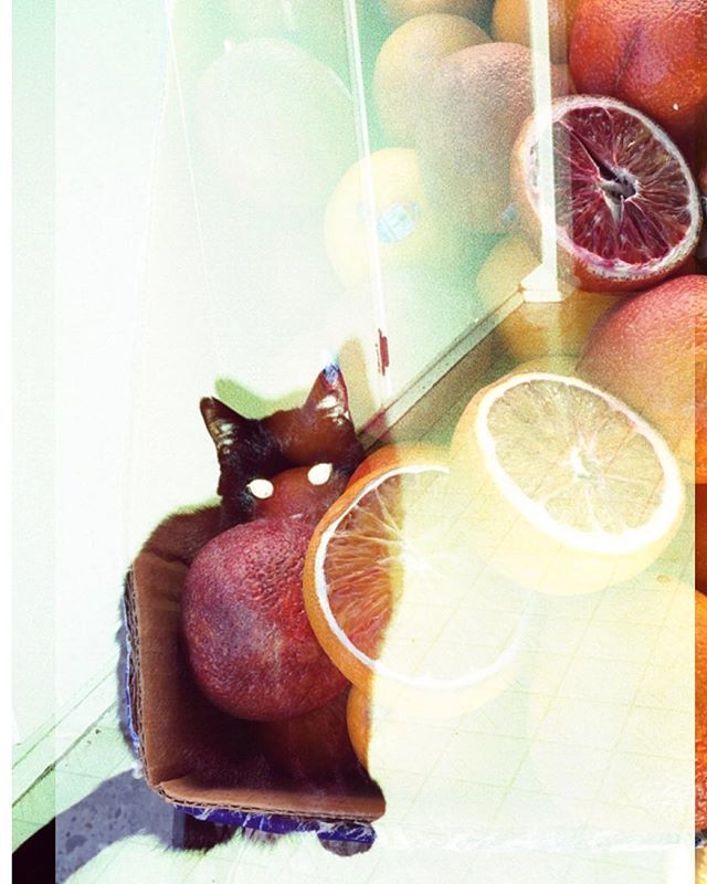 echosight's tweet image. Hey! This is Jackie Dives (@jackiedivesphoto) and Dan Fleming (@dflembo) taking over. Dan is currently in Vancouver and Jackie is in Toronto. This is a combination of a cross processed film photo and an iPhone snap ift.tt/2rdFWi7