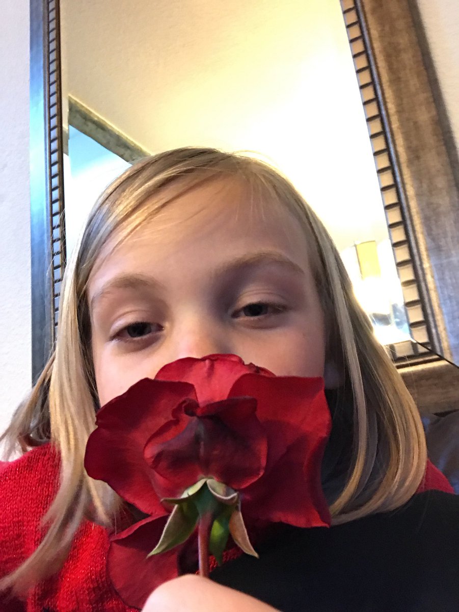 ddhedder's tweet photo. Just @HaveAnAriDay playing with a rose from our front yard! Smells delicious! https://t.co/1OU0wGpaTq