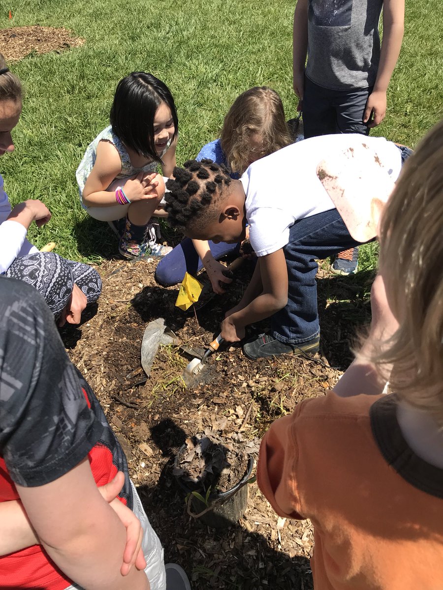 TeachMrsNewell's tweet photo. Planting trees. Always striving to be stewards of our Earth! #schoolofecology @FEASTasheville @TheRootsFound @Vance_ES https://t.co/oxBrd13d7n