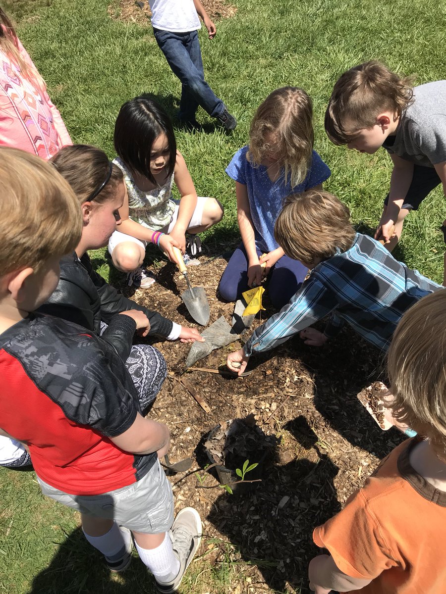 TeachMrsNewell's tweet photo. Planting trees. Always striving to be stewards of our Earth! #schoolofecology @FEASTasheville @TheRootsFound @Vance_ES https://t.co/oxBrd13d7n