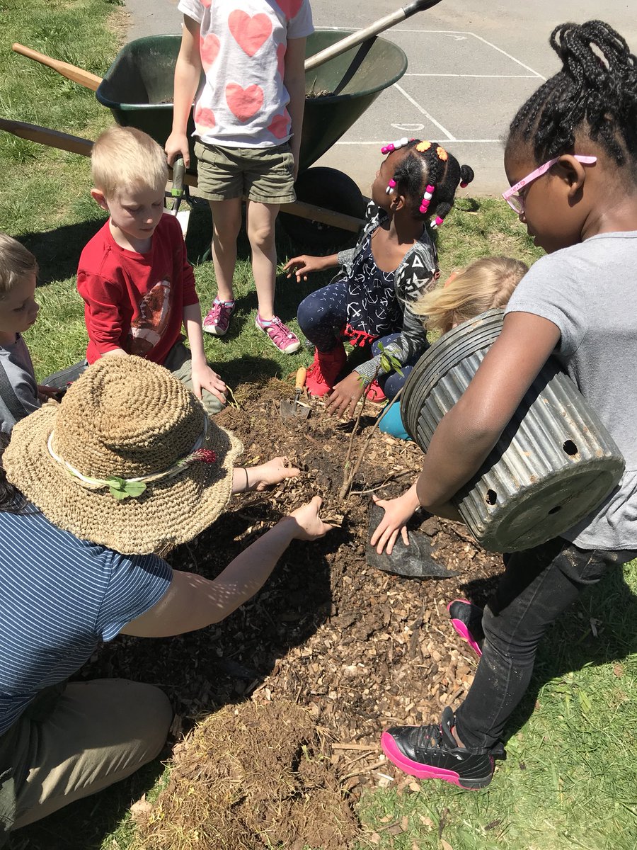 TeachMrsNewell's tweet photo. Planting trees. Always striving to be stewards of our Earth! #schoolofecology @FEASTasheville @TheRootsFound @Vance_ES https://t.co/oxBrd13d7n