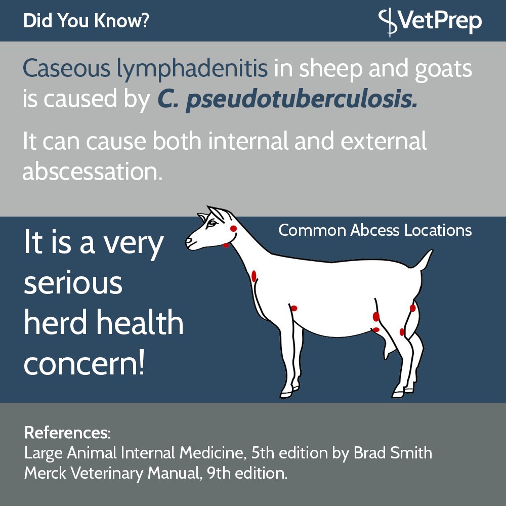 SecretLife_Vets's tweet photo. #Veterinary Facts https://t.co/Yvq7aPqyoR