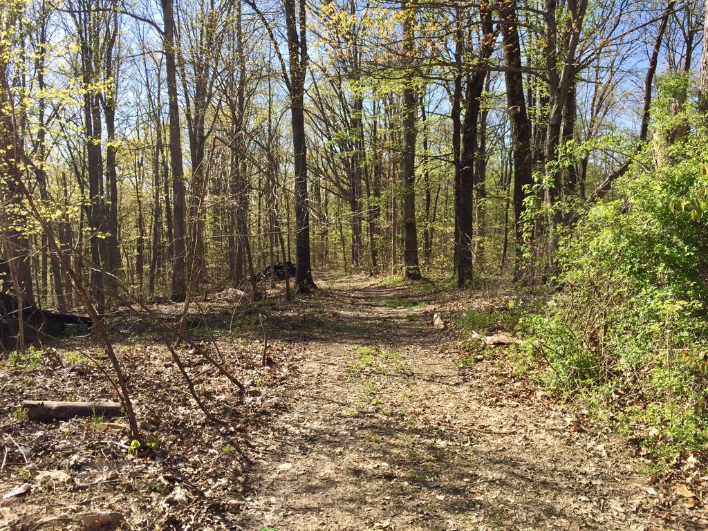 TprPurdy's tweet photo. KSP is searching for a suspect accused of shooting at #KSPPost7 Troopers before 2:00 pm today on Happy Top Rd in north Jackson County.
Thankfully no Troopers were injured during the incident.
The suspect was last seen wearing a black sleeveless shirt, camo pants & a black hat. https://t.co/1kRfu1eBtU