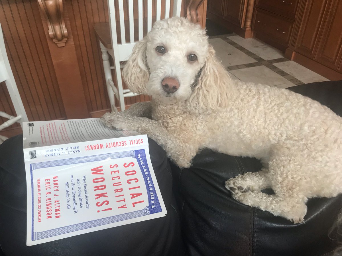 SevignyMD's tweet photo. Steve will defend and fight to expand Social Security &amp; Medicare even if he has to work like a dog to get it done! Healthcare is a human right &amp; our seniors deserve better. #FL06 @SSWorks #FlaPol https://t.co/q6eBodEVR6