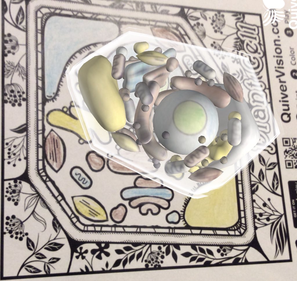 Rachel_Benn_'s tweet image. Lots of fun after school today at #HunsletLibrary with creative #AR - erupting volcanoes 🌋 investigating animal cells 🔎, collecting flies 🦋 and designing the new #2018 @Starbucks cup ☕️ #Mondays #augmentedreality @quivervision @leedslibraries