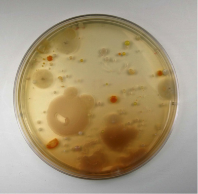 Cayo_Pro's tweet photo. Did you know the amount of unseen bacteria on your floors and shoes? 
https://t.co/6mHzPpRW7L https://t.co/hZ0ZZoTdL1