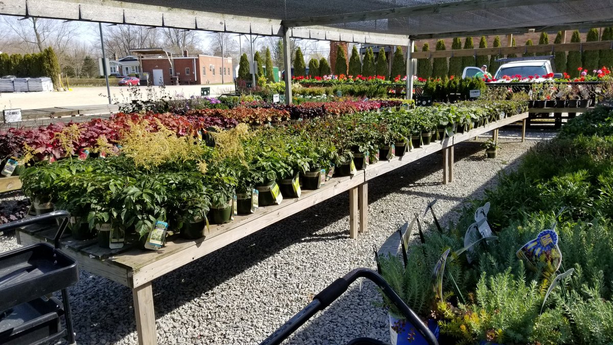 Sawyer Garden Center On Twitter It S 70 Degrees And The Flowers