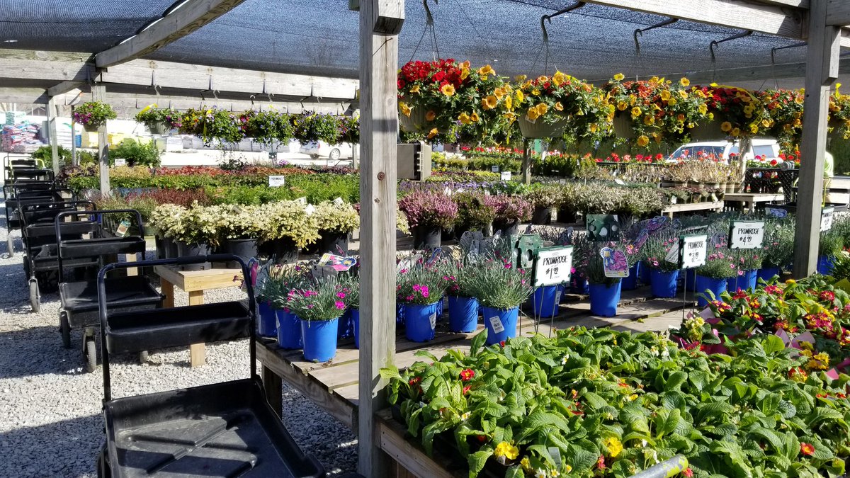 Sawyer Garden Center On Twitter It S 70 Degrees And The Flowers