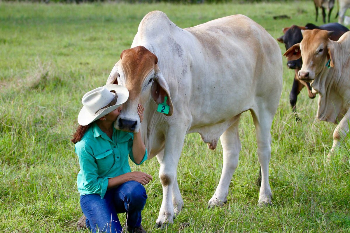 JacCoffey's tweet photo. The science doesn’t lie @AnnastaciaMP!  Land care you can trust comes from Aussie farmers #FairLaws4Farmers #YourFoodOurFuture  @AgForceQLD https://t.co/Uu3kKvP5LQ