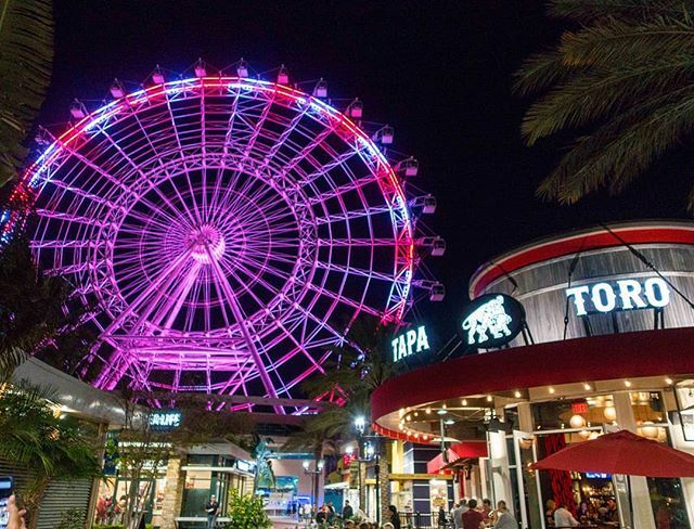 AskChefDennis's tweet photo. I love #Orlando and the @i_drive_360 there is so much to do and so many delicious spots to eat like @tapatoroorlando.
And don't forget to ride the Orlando Eye for a great view of the area!
.
#idrive #idrive360 #funtime #LoveFL #chefdennistravels #myhomet… https://t.co/Pbg24yAZ5y https://t.co/8JBEO0ay7g