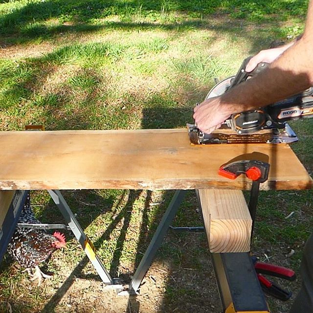 LazyGuyDIY's tweet photo. Things were getting very @anneofalltrades during my project this afternoon with a #chicken #photobomb during filming.  #totallysafe #hiddenchicken #urbanchickens #shoppet #woodworking #makersgonnamake #pin #fb #lazyguydiy https://t.co/5FYyf9JnAX https://t.co/X8k94CcENI