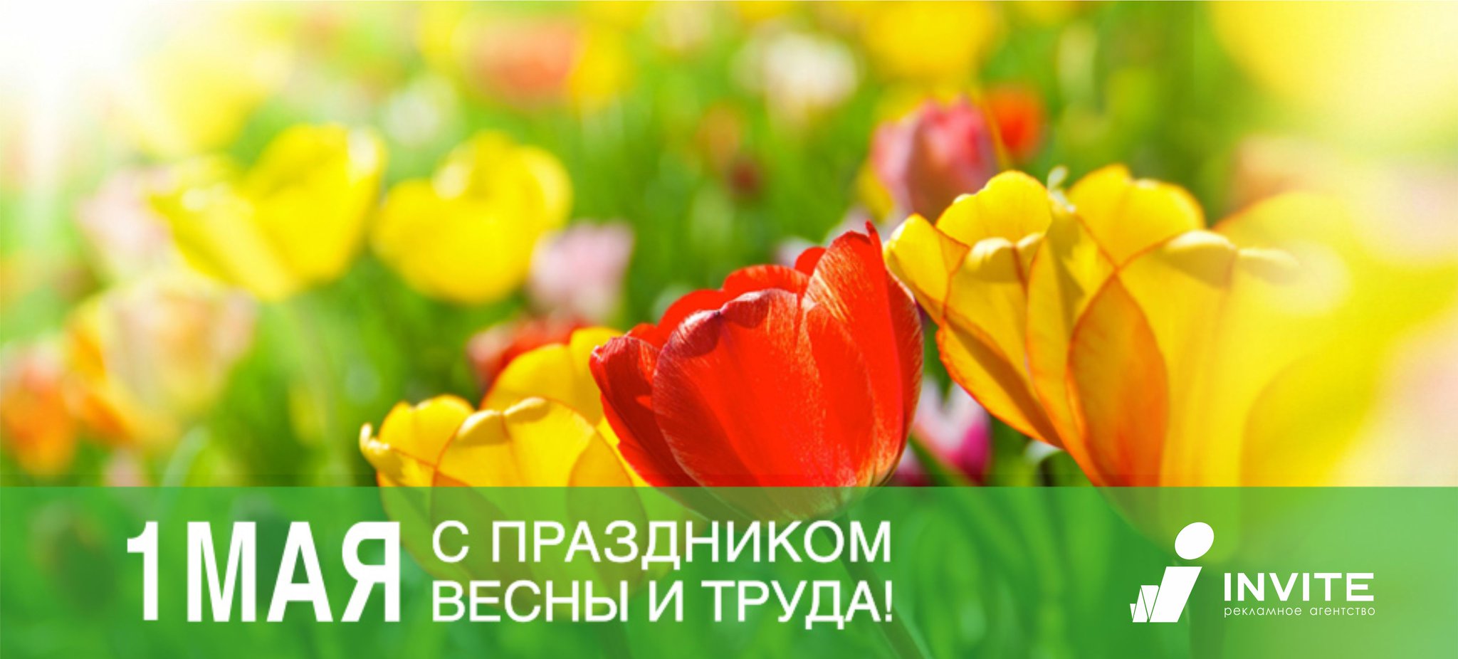 Шаблоны с 1 мая