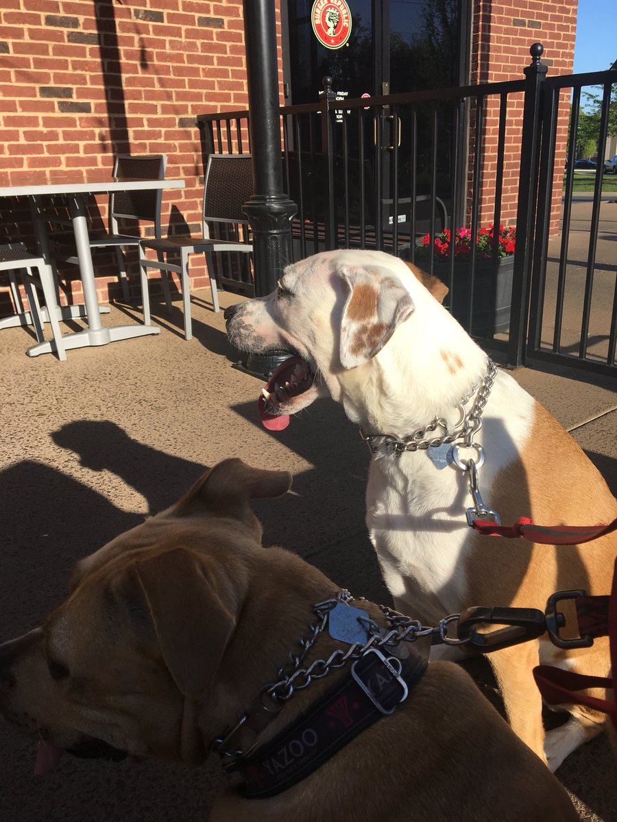 cgravlee's tweet photo. “Pit” stop @BurgerRepublic #unclekyle https://t.co/uPxekgsu4k