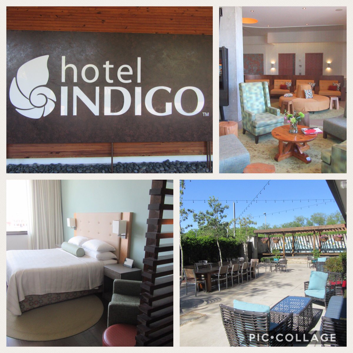 RossTravelAgent's tweet photo. @hotelindigo @IndigoAthens @VisitTheUSA @VisitUSAIreland @VisitTheUSAuk @BrandUSA @ExploreGeorgia @VisitAthensGA Last night was my first stay at a Hotel Indigo, very impressed! #AnIHGHotel #VisitTheUSA #BrandUSA #USAMegaFam #travel https://t.co/kXkEe1noXx