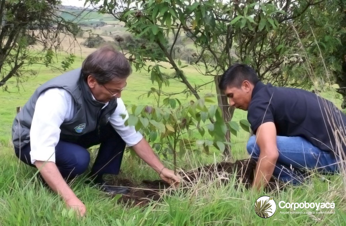 Corpoboyaca's tweet photo. Ricardo López y @NairoQuinCo, se unen para apoyar la campaña de reforestación que lidera Corpoboyacá #YoMeComprometo, en las veredas San Onofre y la Concepción de #Cómbita, se entregaron 800 árboles para siembra y cuidado y conservación del recurso hídrico. #DíaNacionalDelÁrbol https://t.co/VWCMD3bA7S