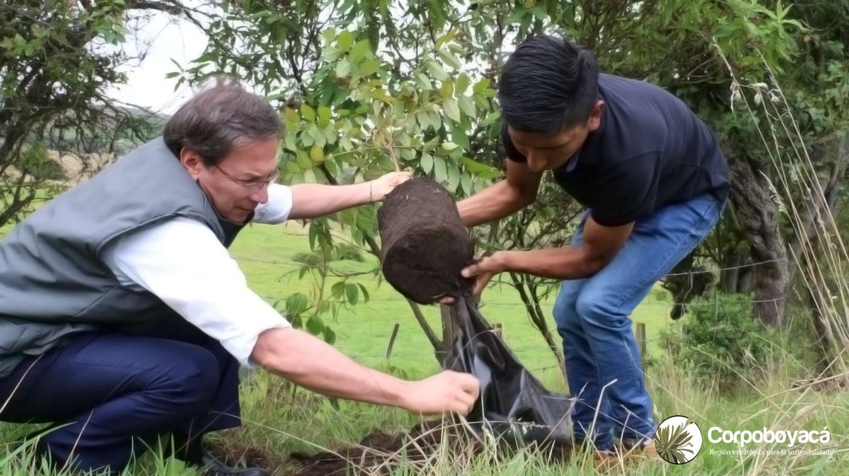 Corpoboyaca's tweet photo. Ricardo López y @NairoQuinCo, se unen para apoyar la campaña de reforestación que lidera Corpoboyacá #YoMeComprometo, en las veredas San Onofre y la Concepción de #Cómbita, se entregaron 800 árboles para siembra y cuidado y conservación del recurso hídrico. #DíaNacionalDelÁrbol https://t.co/VWCMD3bA7S