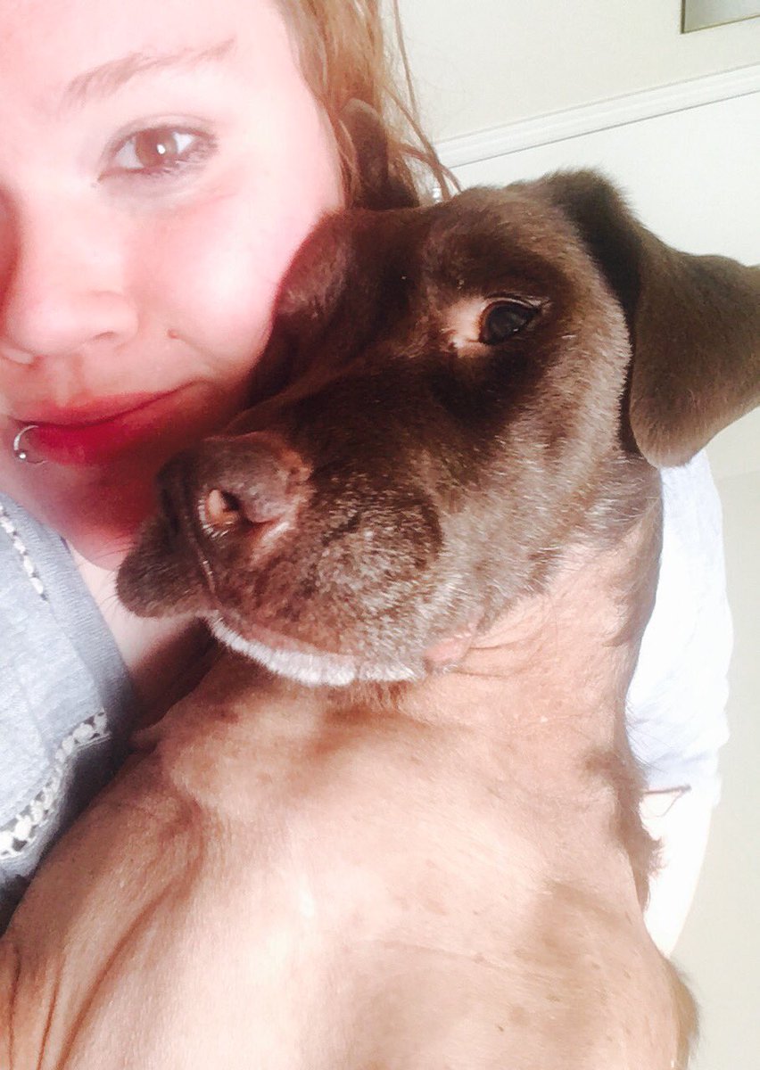 Amanda_Face101's tweet photo. Every time I get home Russell demands snuggles, and by snuggles he means pressing his whole body on mine and not moving 😍#howyouknowyourdoglovesyou #sugarpaws https://t.co/f8DlpI5cHU