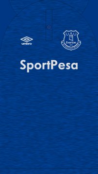 everton 2018 kit