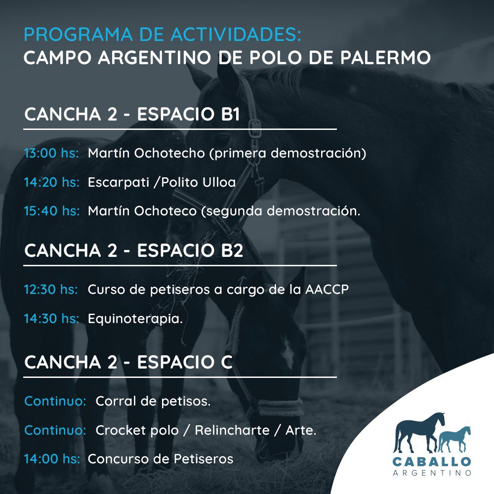 Asoc. Arg. de Polo tweet media