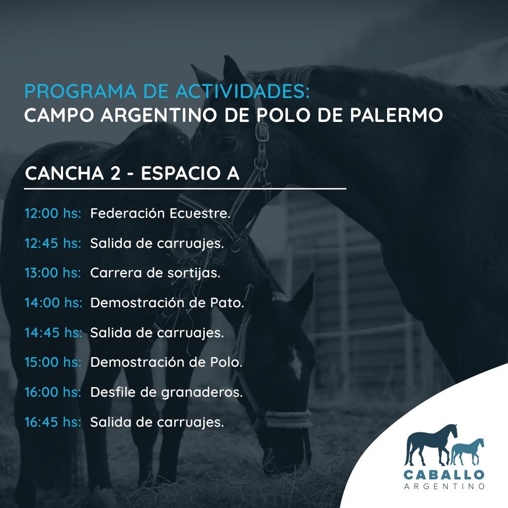 Asoc. Arg. de Polo tweet media