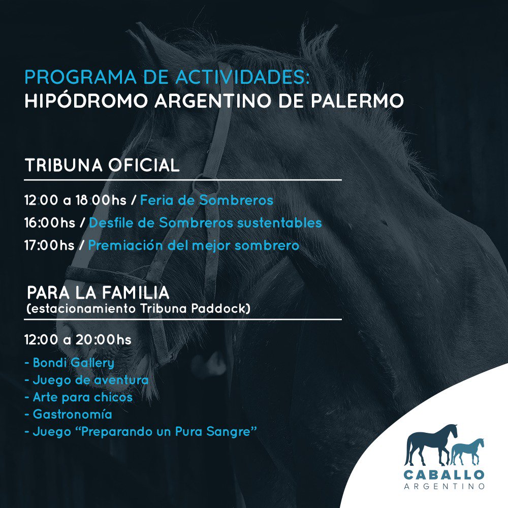 Asoc. Arg. de Polo tweet media