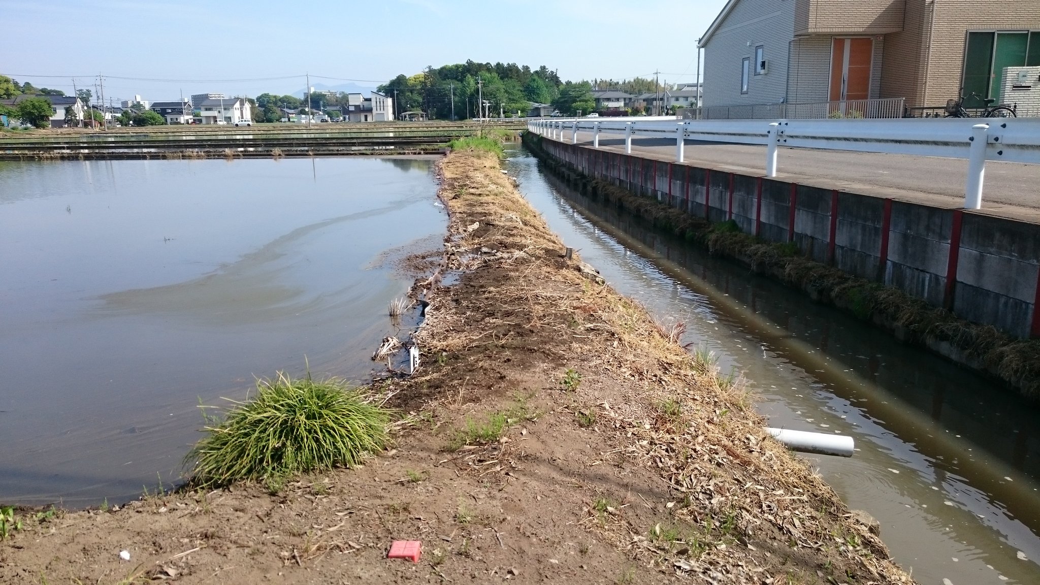 Kame Y つくば市小野崎の八坂神社付近を流れる用水路 田植えのため水は満杯 この水路 もしかすると小野川の源流か Kame Y つくば市小野崎の八坂神社付近を流れる用水路 田植えのため水は満杯 この水路 もしかすると小野川の源流か