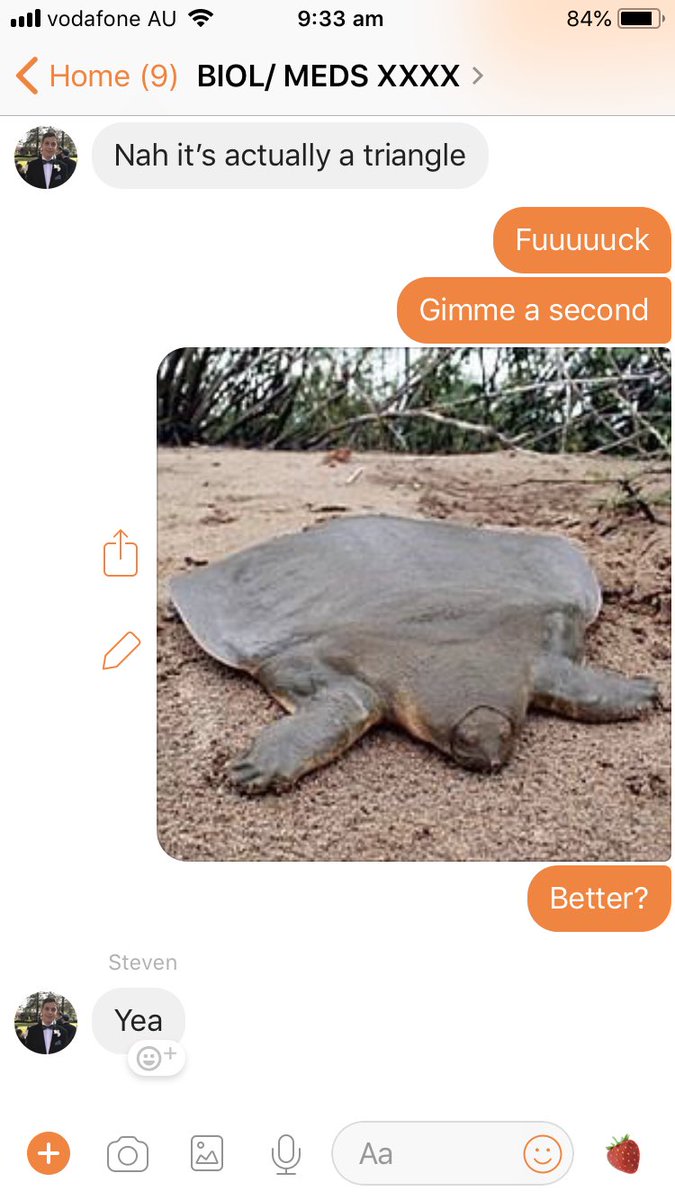 Haamburglary's tweet image. Big Mood #flatearther #spaceturtle