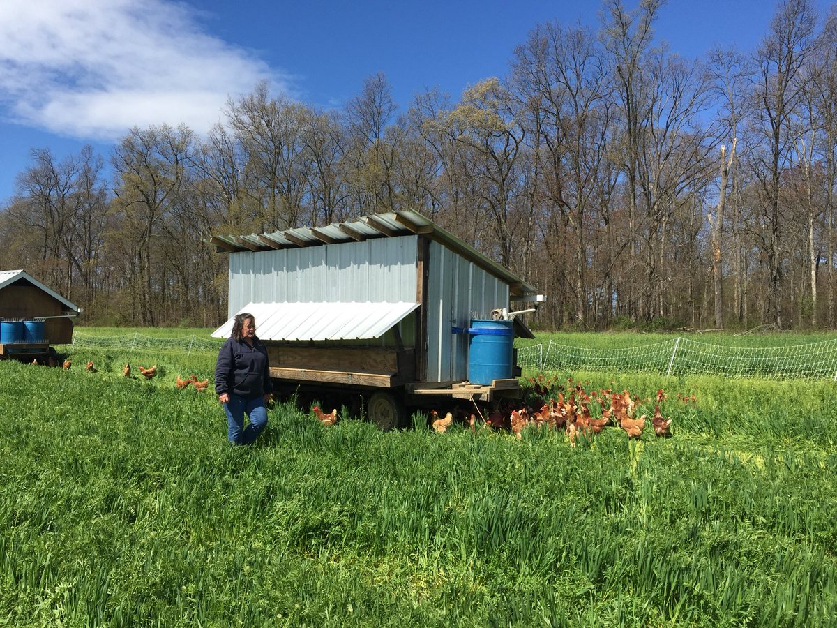 msnolanfges's tweet photo. Beautiful day for a walk at @OneStrawFarm today, learning about healthy harvesting and farming! @FortGarrisonES @MrsASanders4 https://t.co/8bv6gMZZWf