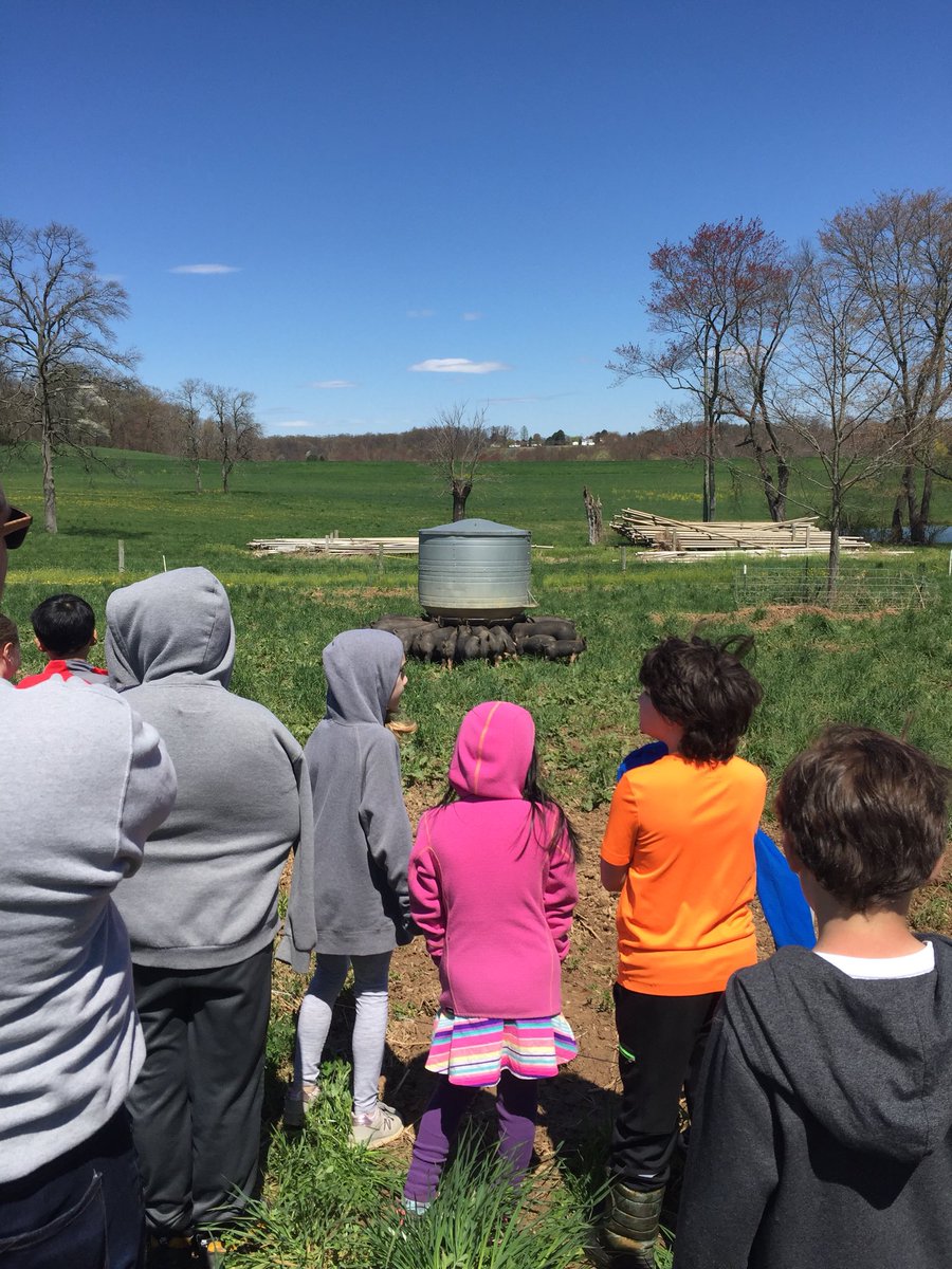 msnolanfges's tweet photo. Beautiful day for a walk at @OneStrawFarm today, learning about healthy harvesting and farming! @FortGarrisonES @MrsASanders4 https://t.co/8bv6gMZZWf