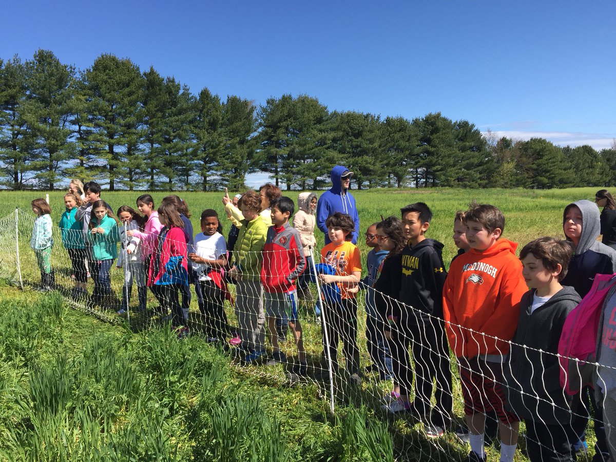 msnolanfges's tweet photo. Beautiful day for a walk at @OneStrawFarm today, learning about healthy harvesting and farming! @FortGarrisonES @MrsASanders4 https://t.co/8bv6gMZZWf