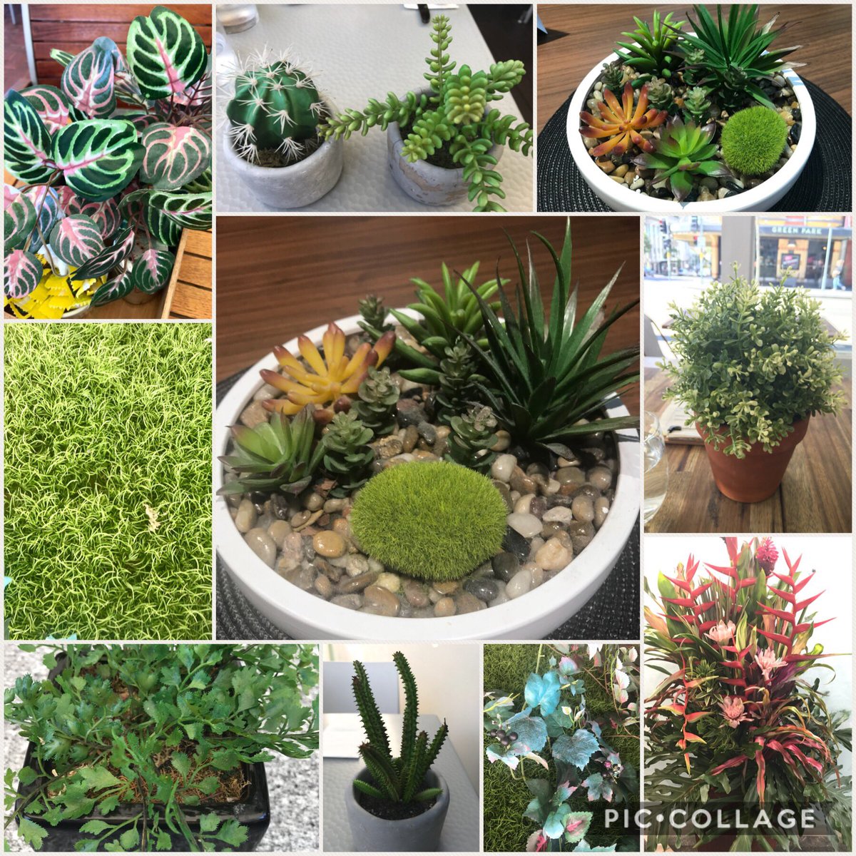 So what are your thoughts about #PlasticPlants? Personally I think they are a #CrimeAgainstHorticulture no matter how well they are made.