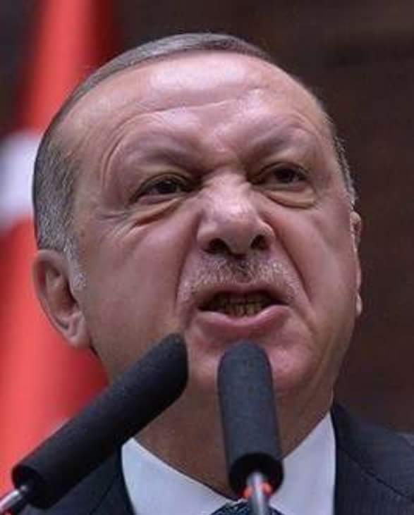 yalanların sonu geldi tayyip begg