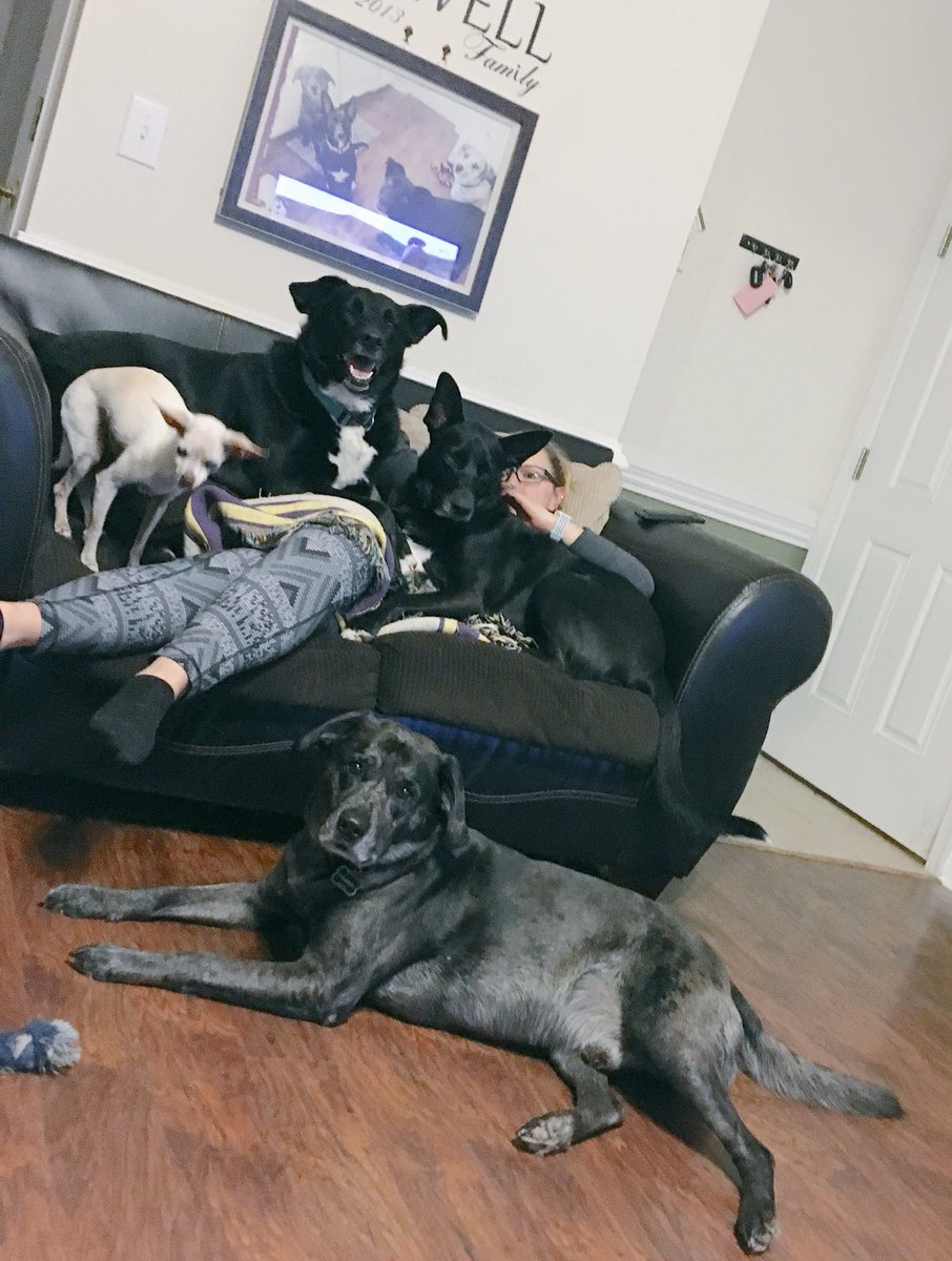BigJudy_Amber's tweet image. Locked up in N.C. @PascoSheriff @LivePDNation #9PMRoutine #dogsfordays