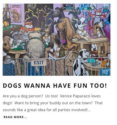 VeniceBeachFun's tweet photo. Are you a dog person? Us too! Venice Paparazzi loves dogs! Want to bring your buddy out on the town?From restaurants, to parks, to rules and regulations, to the best pet supply store around, we have the inside line on all things dog!
#venicebeachfun #venicebeach #dogsofvenice https://t.co/LGf2L7Vb4P