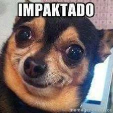 didoproqt's tweet photo. @AdairGT @NestorYuTu @EDUARDO33710  https://t.co/wmSQQ3Lu0N
