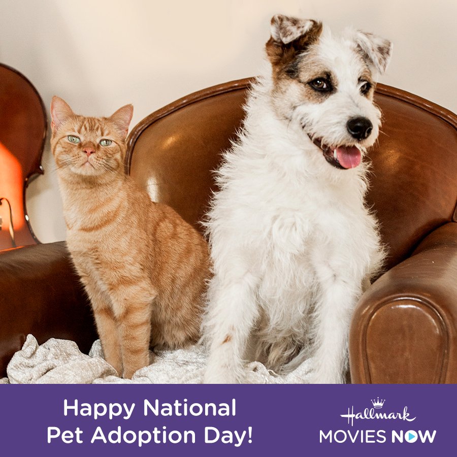 Hallmark Movies Now on Twitter: Hallmark Movies Now on Twitter: