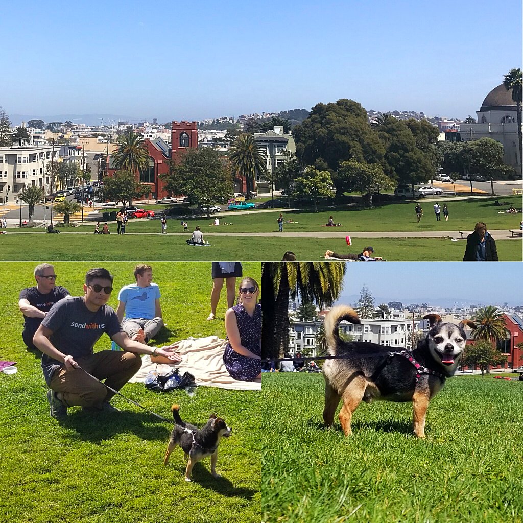 getdyspatch's tweet photo. The SF team taking a quick break at #DoloresPark โ๏ธ.
#sfoffice #SWUbies #SWULife https://t.co/IKUibxRvLF