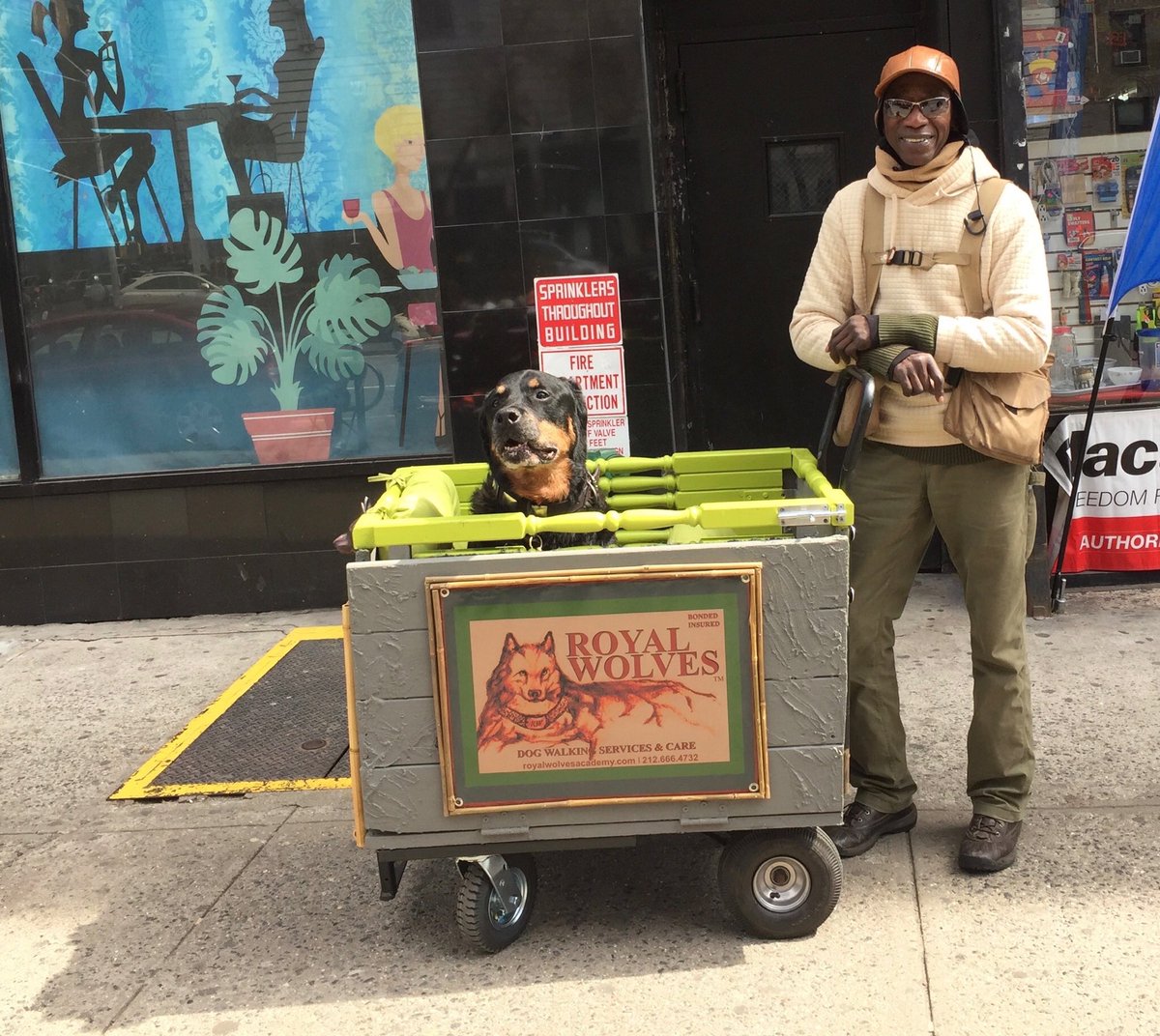 RoyalWolvesInc's tweet image. Hot dog! Get your hot dogs here!! #officelife #smilemore